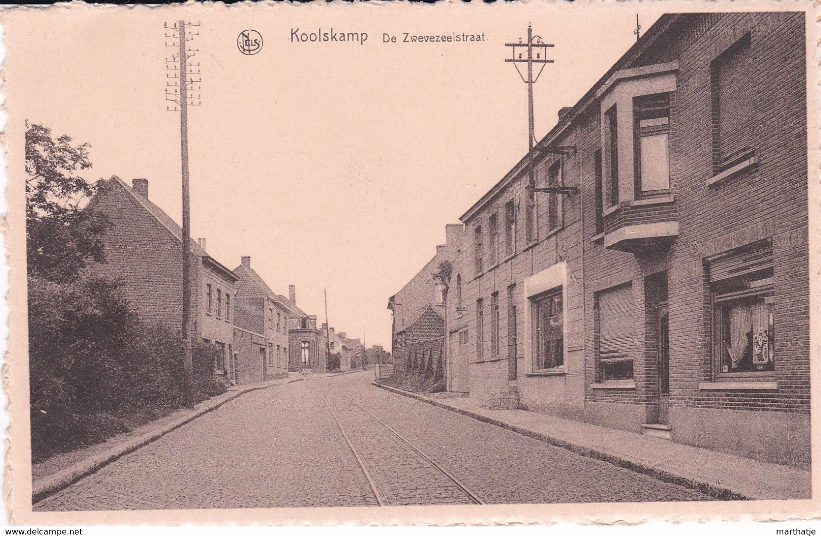 Koolskamp - De Zwevezeelstraat - Ardooie