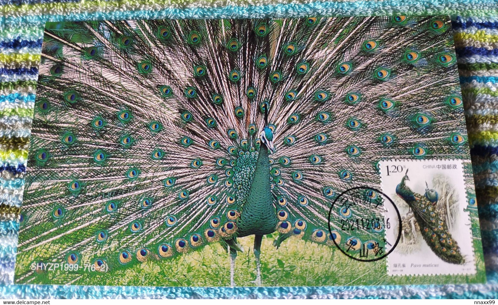 China 2021-28 (8-3)T Green Peafowl (Pavo Muticus) SELF-MADE Maximum Card - A01 - Peacocks