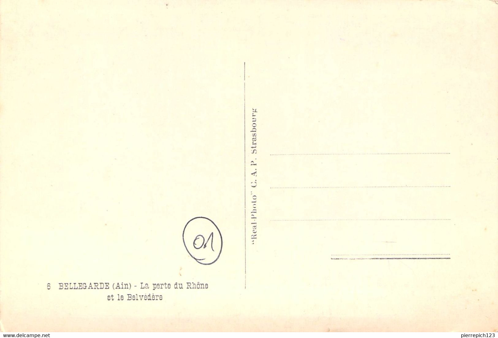 01 - Bellegarde - La Perte Du Rhône Et Le Belvédère - Bellegarde-sur-Valserine