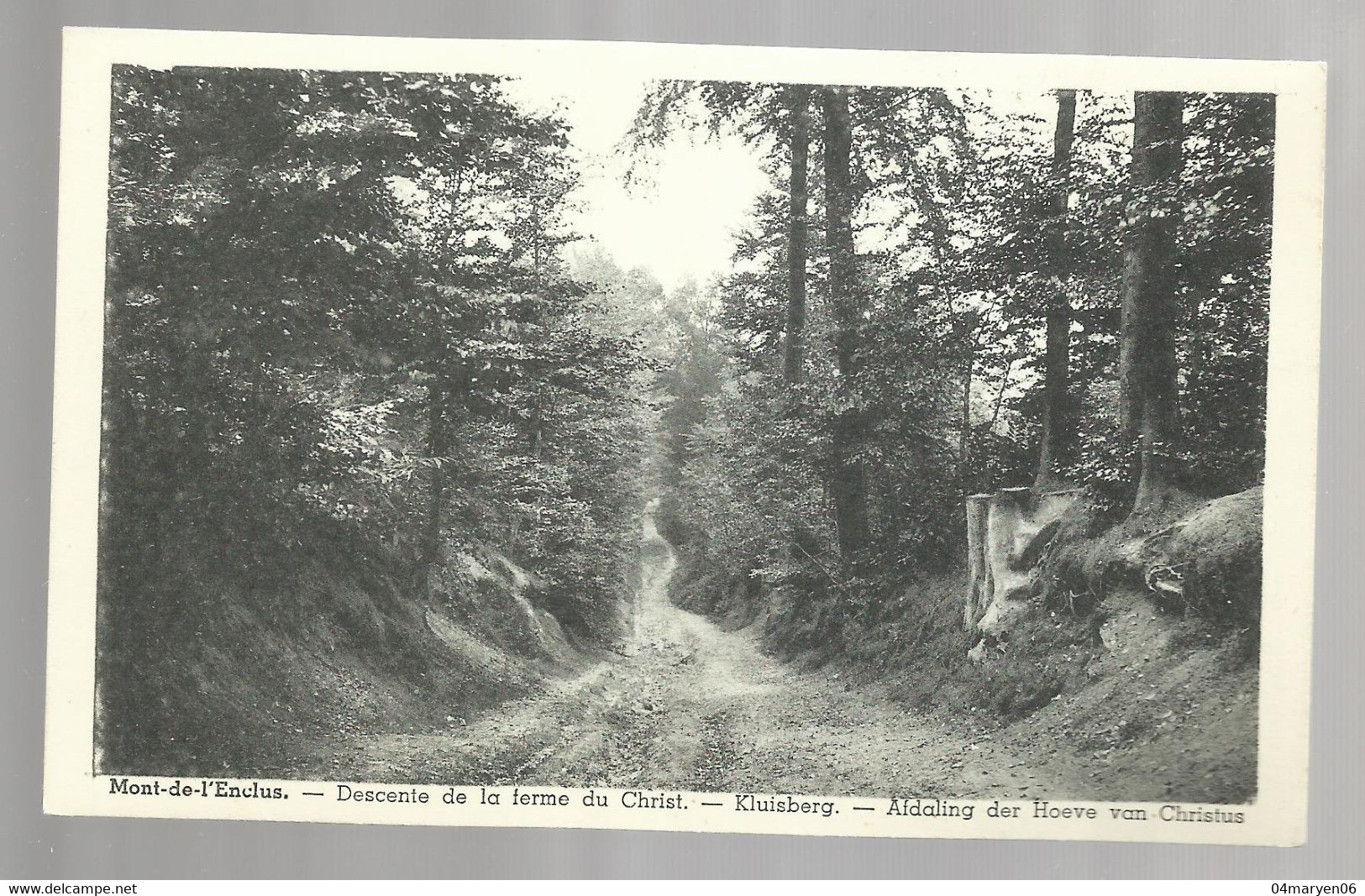 ***  MONT - DE - L'ENCLUS  /  KLUISBERG  ***  Afdaling Der Hoeve Van Christus - Kluisbergen