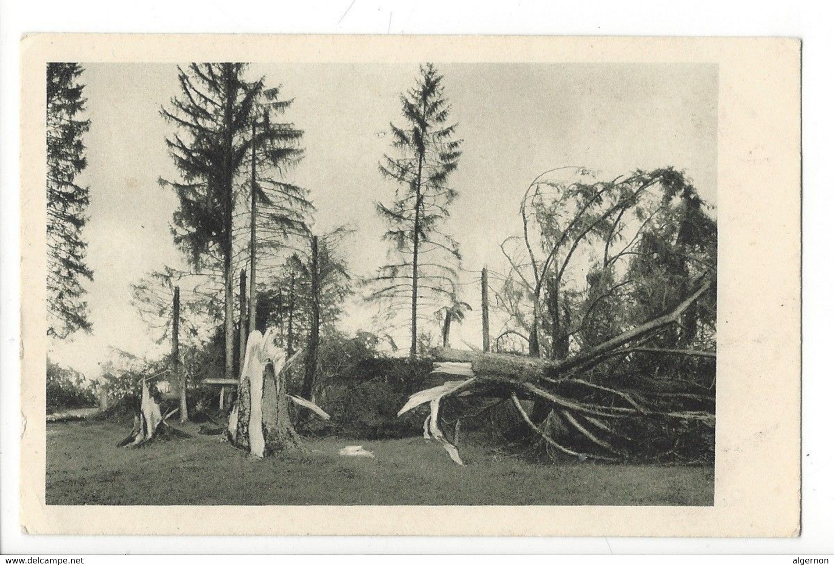 29515 - Les Breuleux Le Cyclone Dans Le Jura Bernois Forêt Détruite Près Les Breuleux 12 Juin 1926 - Les Breuleux