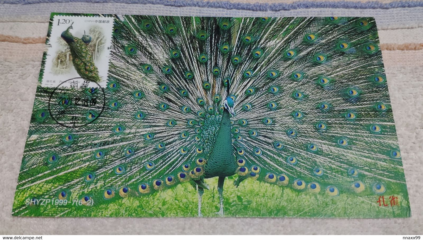 China 2021-28 (8-3)T Green Peafowl (Pavo Muticus) SELF-MADE Maximum Card - B01 - Peacocks