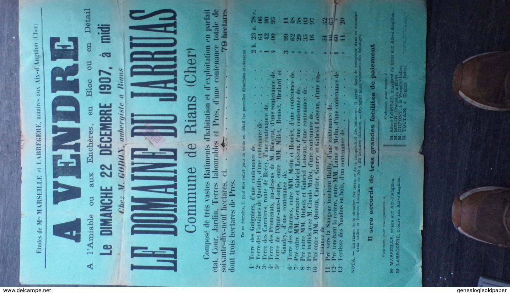18-AIX ANGILLON-RARE AFFICHE VENDRE DOMAINE DU JARRUAS-1907-GODON AUBERGISTE RIANS-LOISEAU-DUPONT LA VERNELLE-CHABRIS - Posters