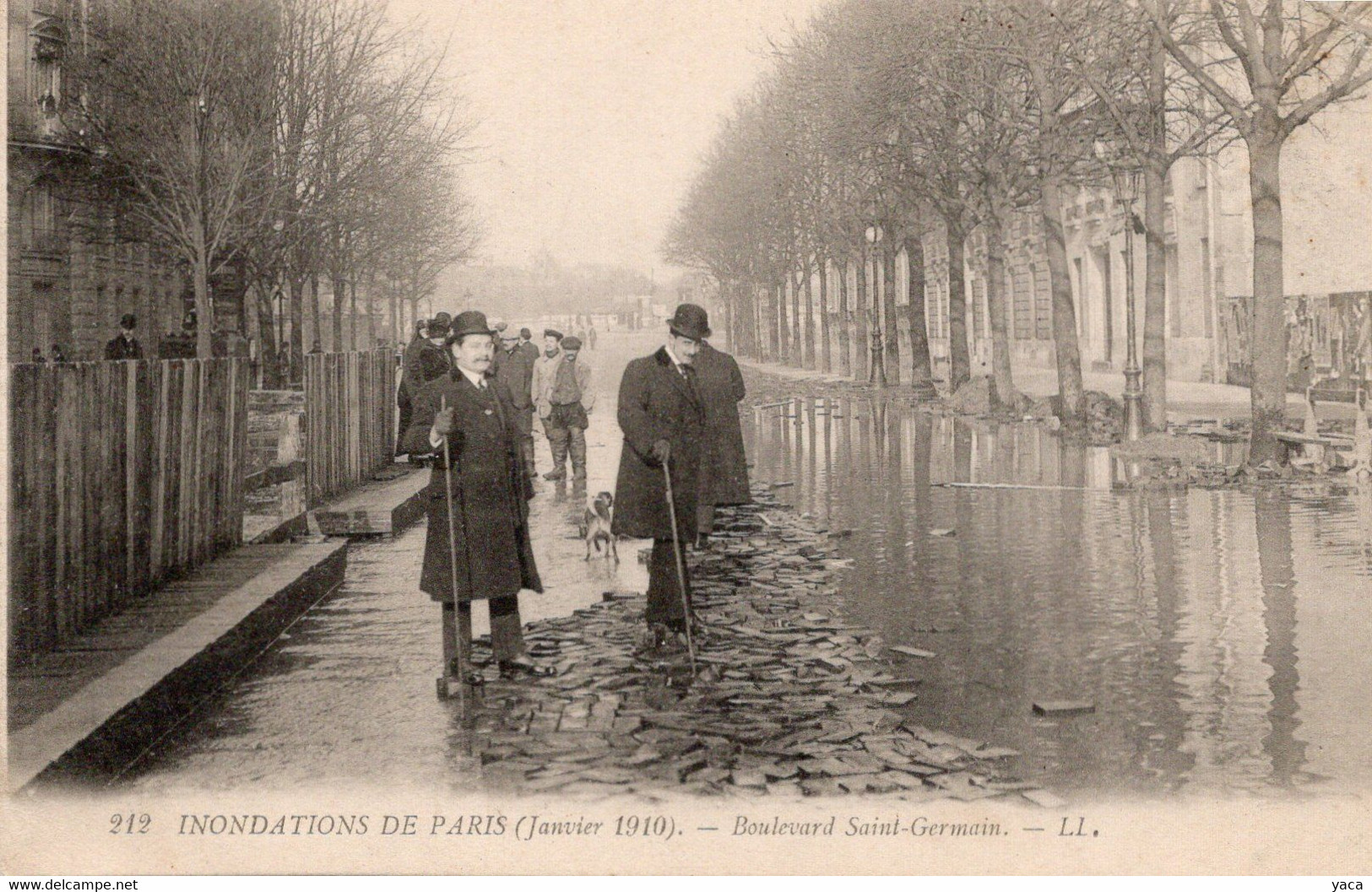 Paris Inondé 1910  La Grande Crue   Boulevard St Germain - Inondations