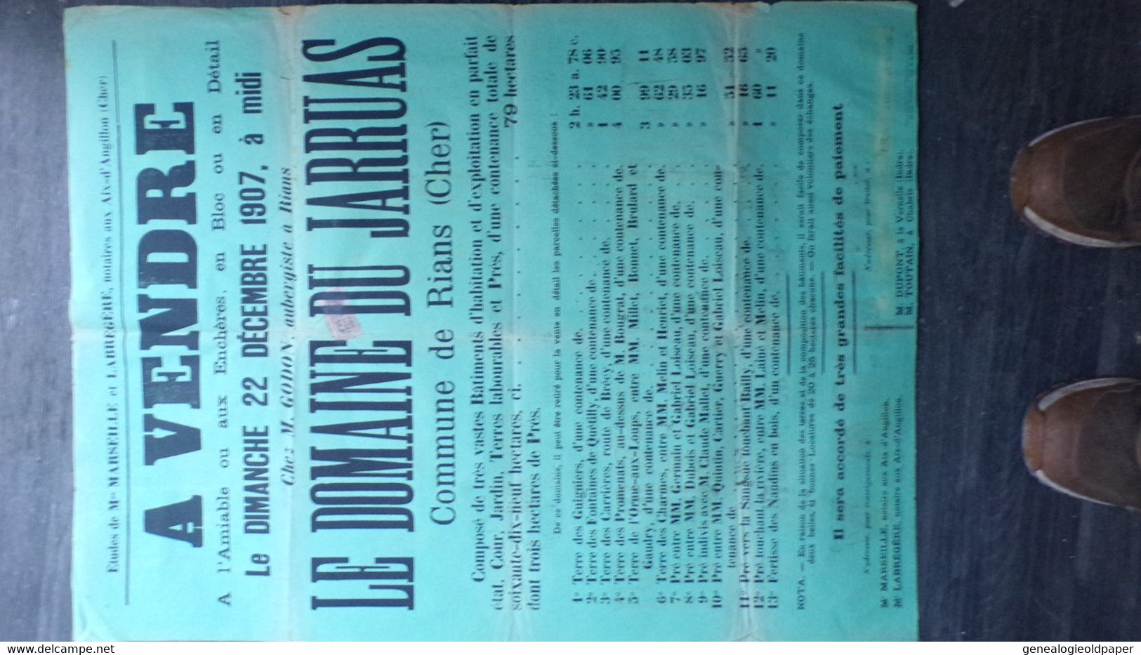 18-AIX ANGILLON-RARE AFFICHE VENDRE DOMAINE DU JARRUAS-1907-GODON AUBERGISTE RIANS-LOISEAU-DUPONT LA VERNELLE-CHABRIS - Affiches