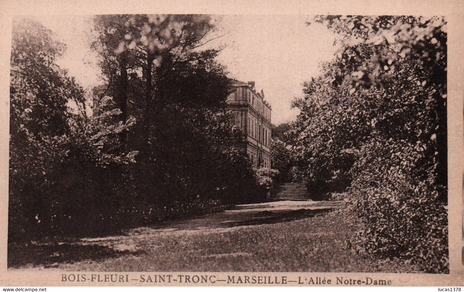 13 / MARSEILLE / BOIS FLEURI / SAINT TRONC / L ALLEE NOTRE DAME - Saint Marcel, La Barasse, St Menet