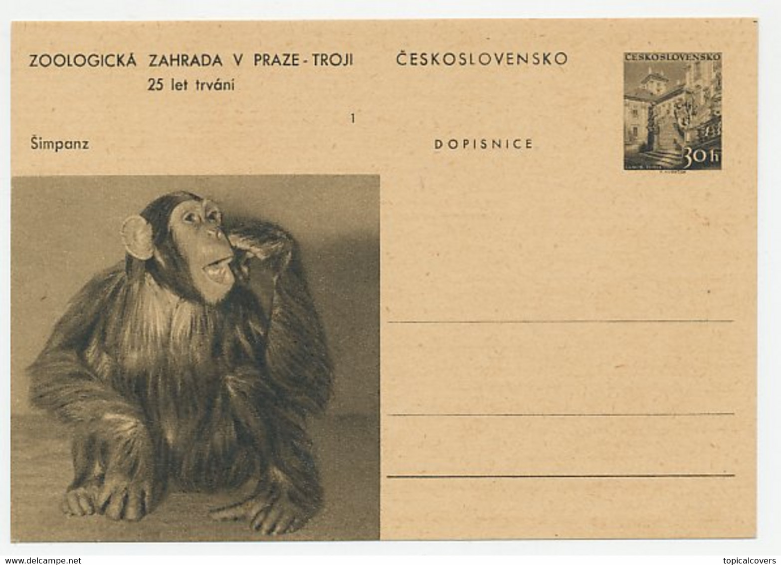 Postal Stationery Czechoslovakia 1956 Monkey - Chimpanzee - Zoo Prague - Autres & Non Classés