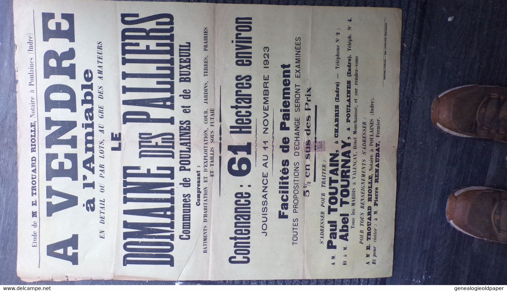 36-POULAINES- BUXEUIL--RARE AFFICHE VENTE DOMAINE DES PALLIERS-TROUARD RIOLLE NOTAIRE-1923-TOUTAIN CHABRIS- TOURNAY - Plakate