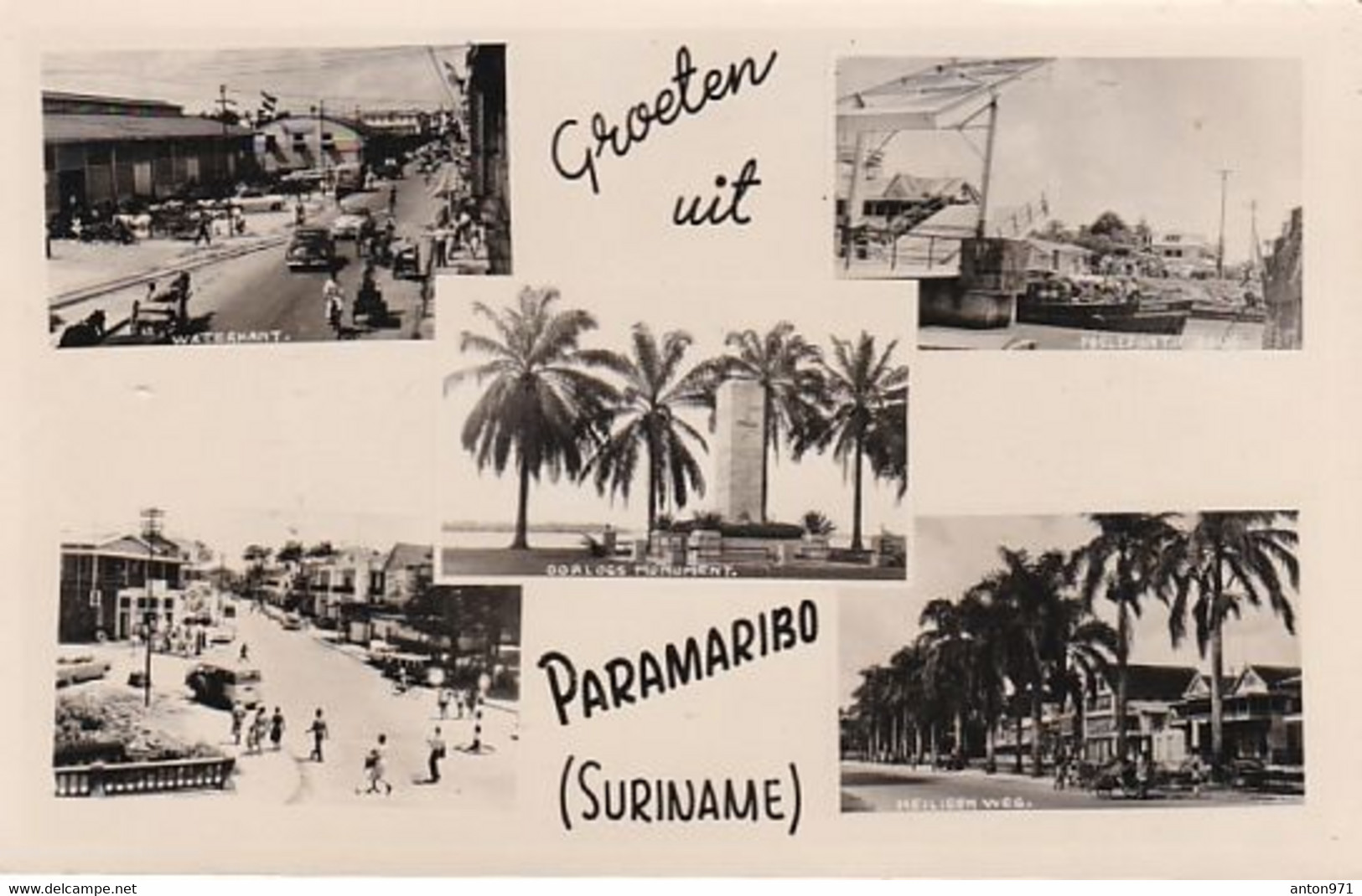 SURINAM  /   Groeten  Uit  PARAMARIBO - Surinam