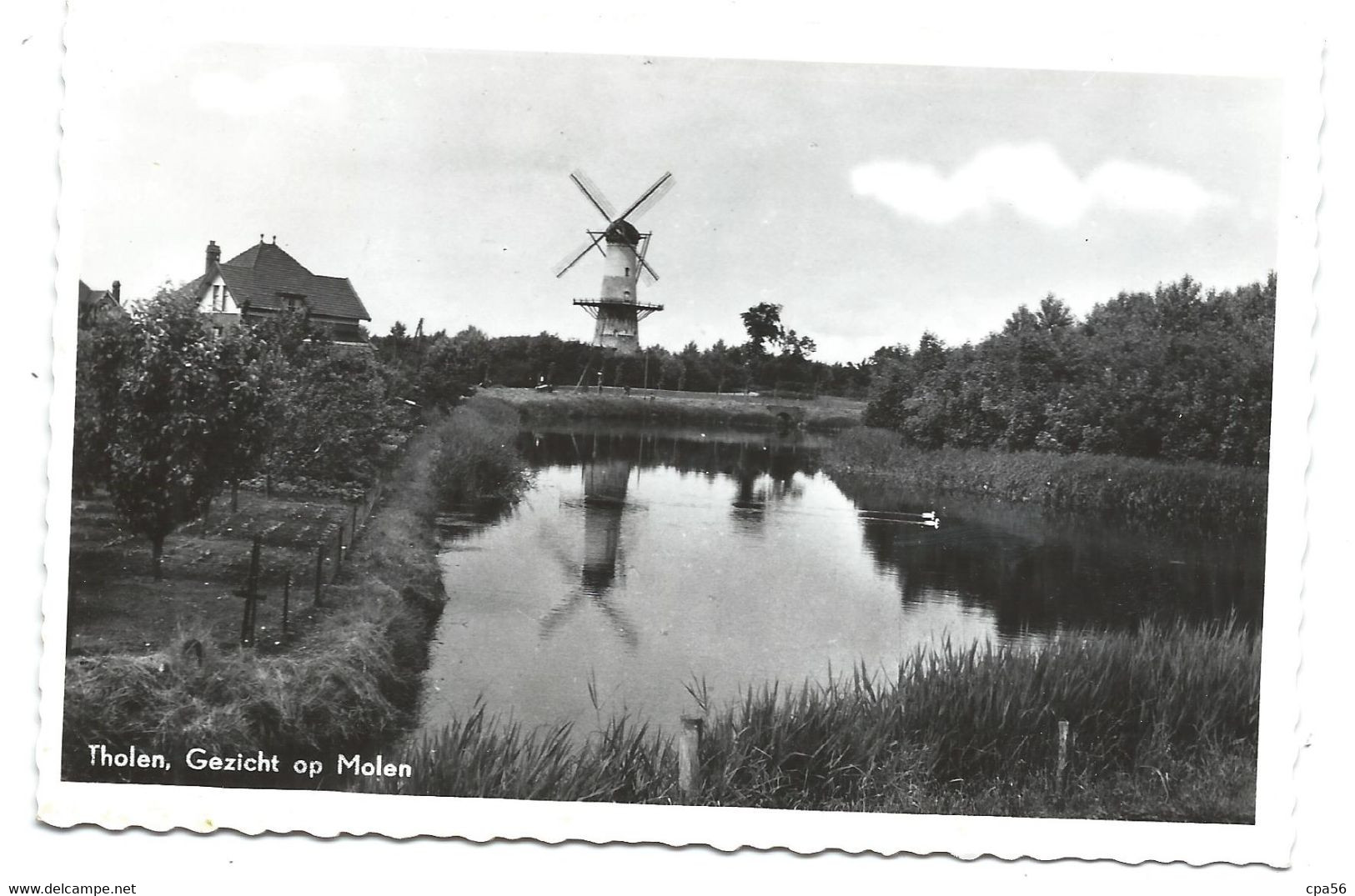 THOLEN - Molen - Tholen