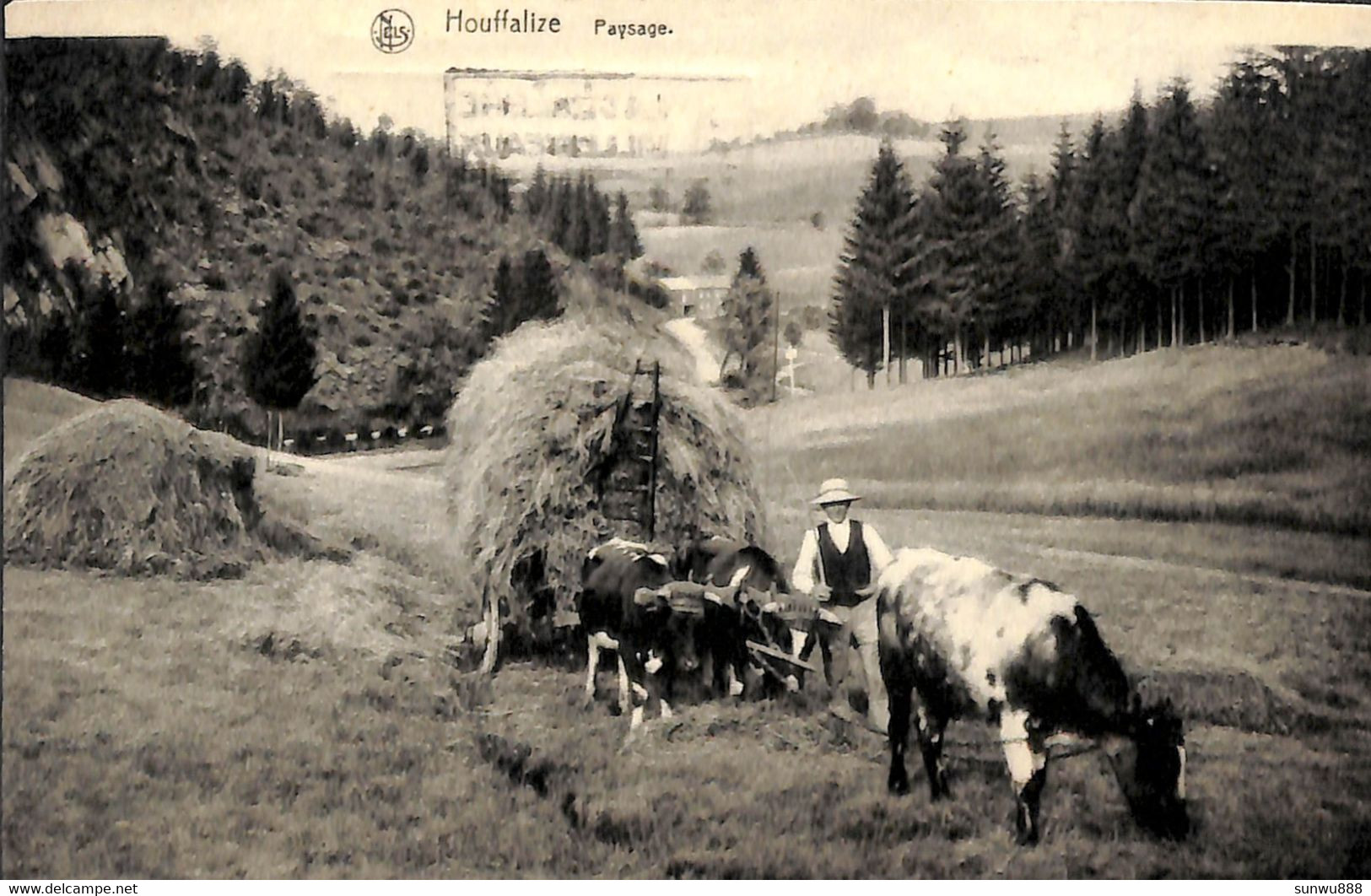 Houffalize - Paysage (animée Attelage Boeufs) - Houffalize