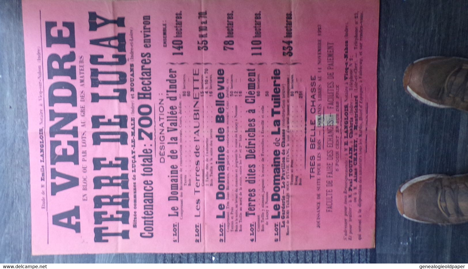 36- VICQ SUR NAHON -RARE AFFICHE VENTE  TERRE DE LUCAY LE MALE-NOUANS-37-DOMAINE VALLEE D' INDER-AUBINETTE 1923 - Plakate
