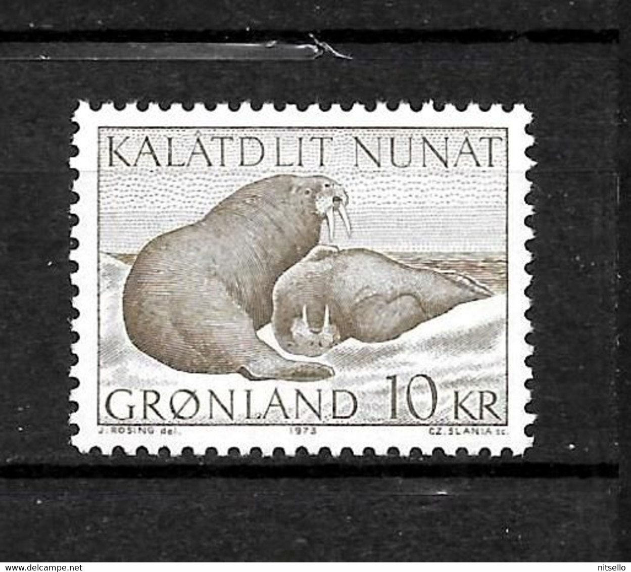 LOTE 2227 /// GROENLANDIA  Nº: 71 **MNH  CATALOG./COTE: 5,25€ ¡¡¡ OFERTA - LIQUIDATION !!! JE LIQUIDE !!! - Ongebruikt