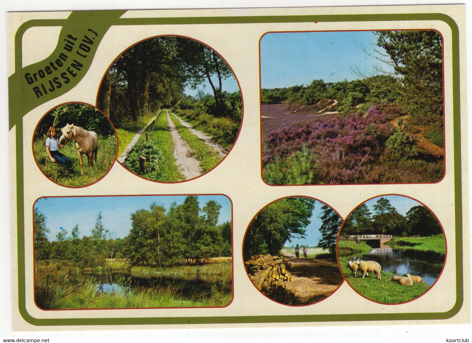 Groeten Uit Rijssen - (Overijssel, Nederland / Holland) - Heide, Struiken, Dieren - 737 - Rijssen