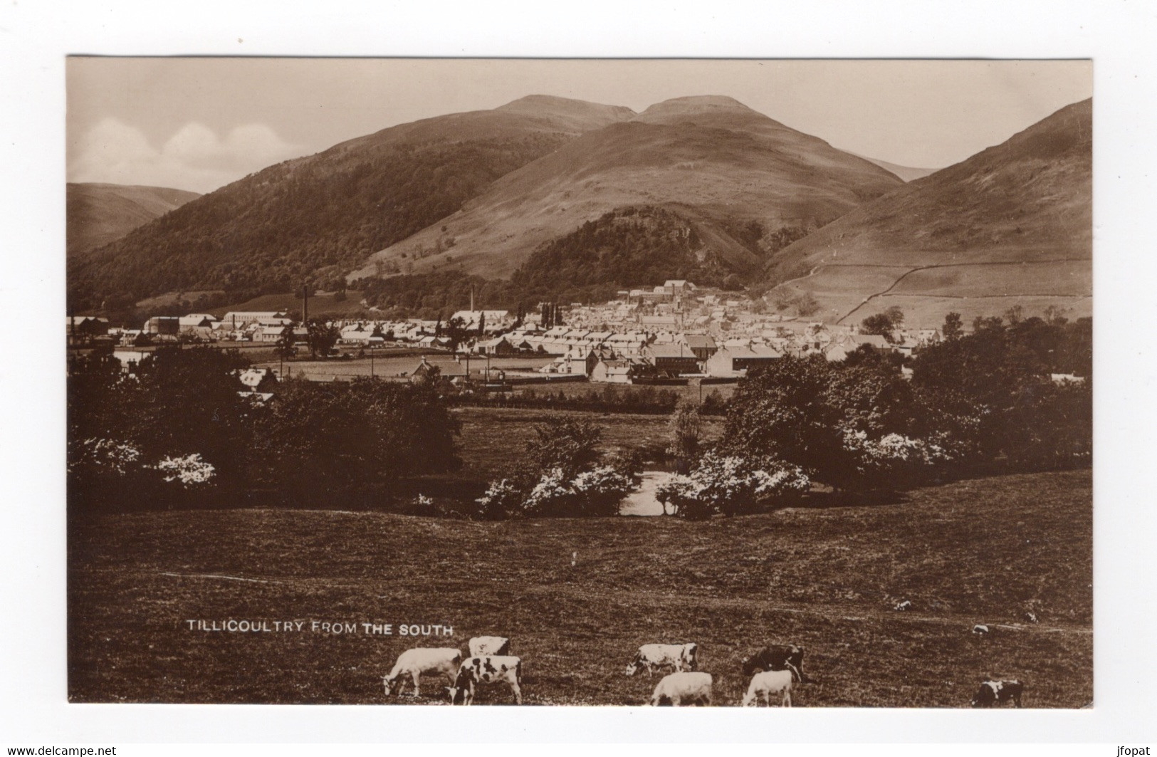 ECOSSE - TILLICOULTRY From The South (voir Description) - Clackmannanshire