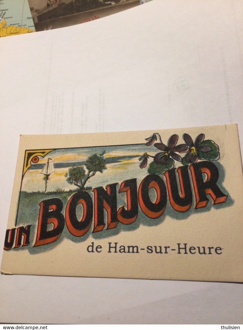 Un Bonjour D Ham Sur Heure - Ham-sur-Heure-Nalinnes