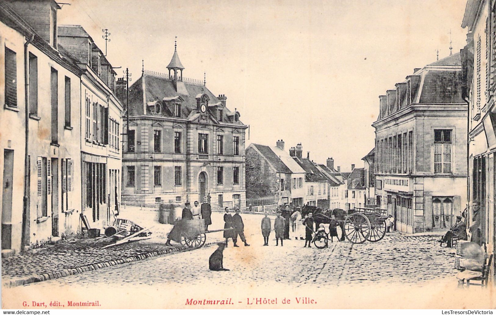 Montmirail - L'hotel De Ville - Animé - Chien - Oblitéré En 1905 - Montmirail