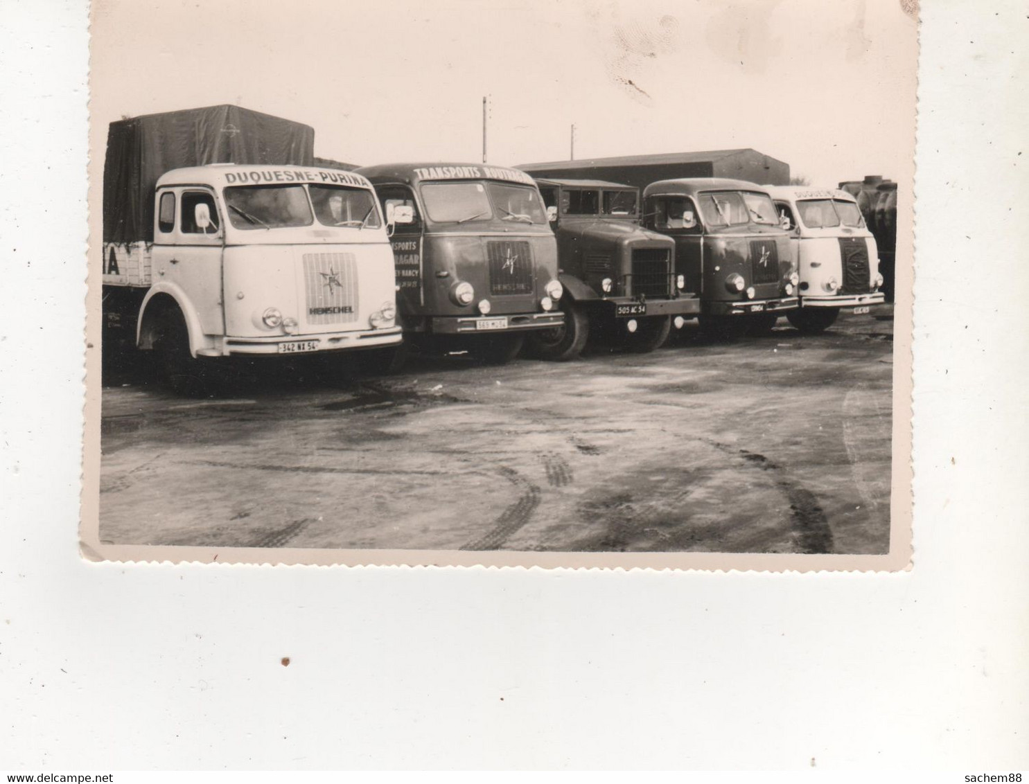 PHOTO 11X16  CAMIONS TRANSPORTS DUQUESNE PURINA NANCY 1 - Other & Unclassified