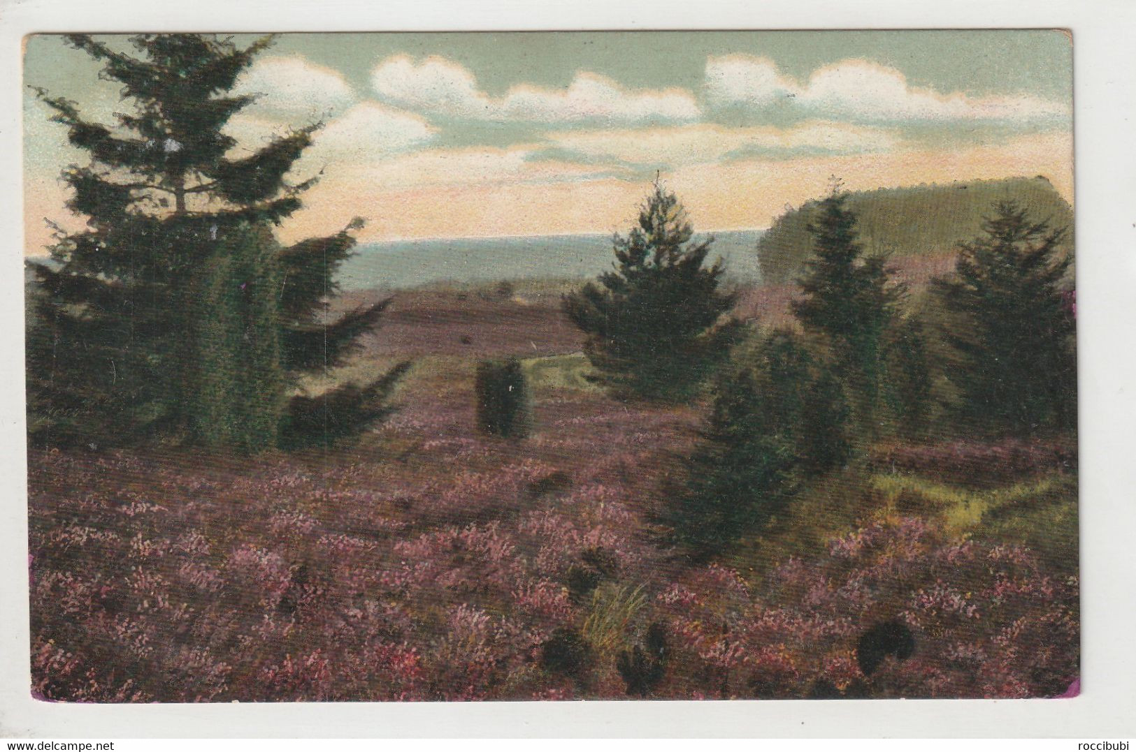 Lüneburger Heide Bei Wilsede - Lüneburger Heide