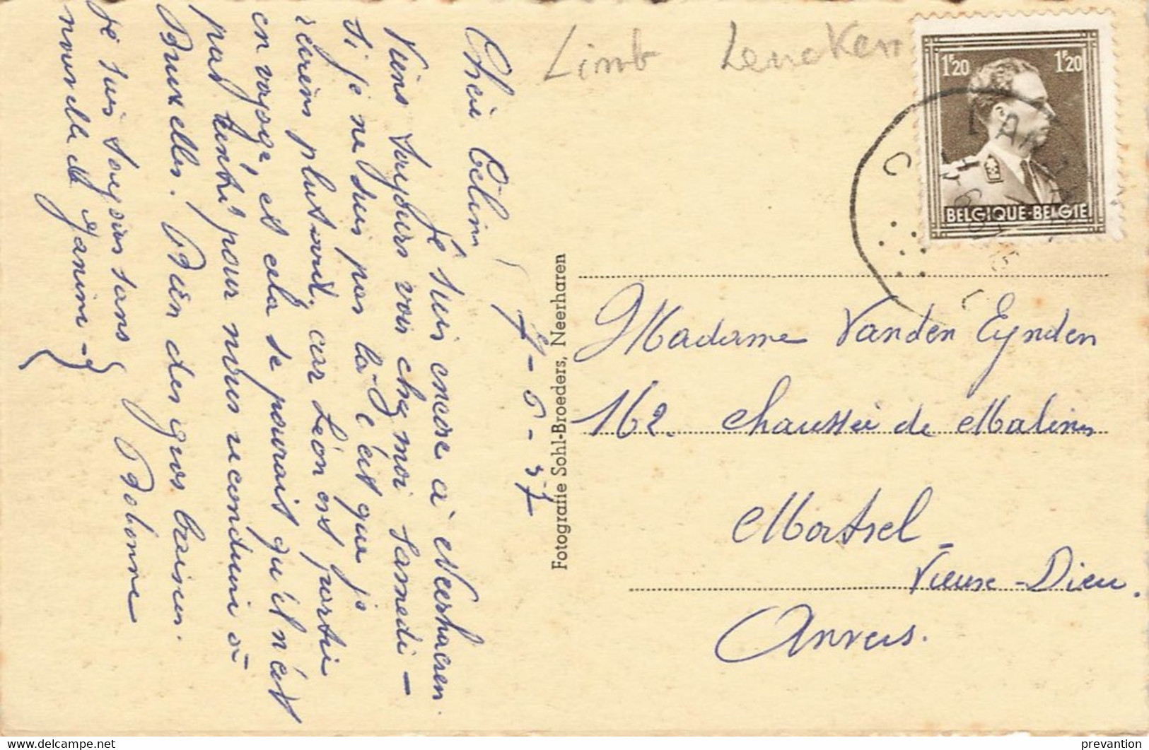 NEERHAREN - Boschweg - Carte Circulé En 1937 - Lanaken