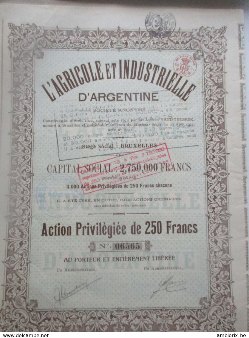 L'Agricole Et Industrielle D'Argentine - Bruxelles - Action Privilégiée De 250 Francs - Capital 2 750 000  - 1922 - Agriculture