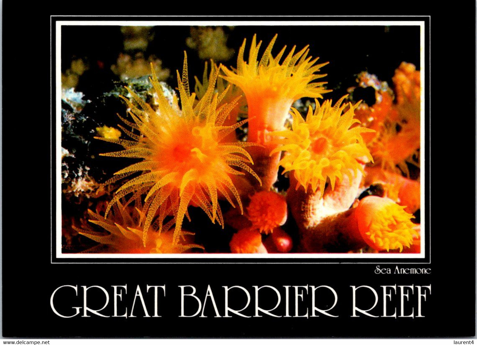 (1 E 29) Australia - QLD - Great Barrier Reef (2 Cards) UNESCO - Great Barrier Reef