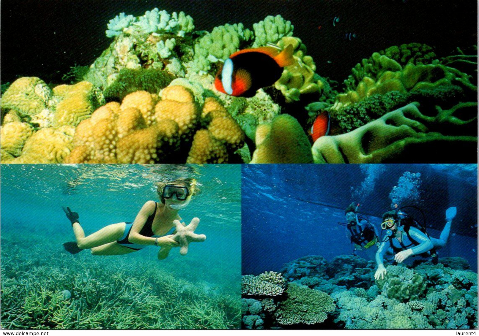 (1 E 29) Australia - QLD - Great Barrier Reef (2 Cards) UNESCO - Great Barrier Reef