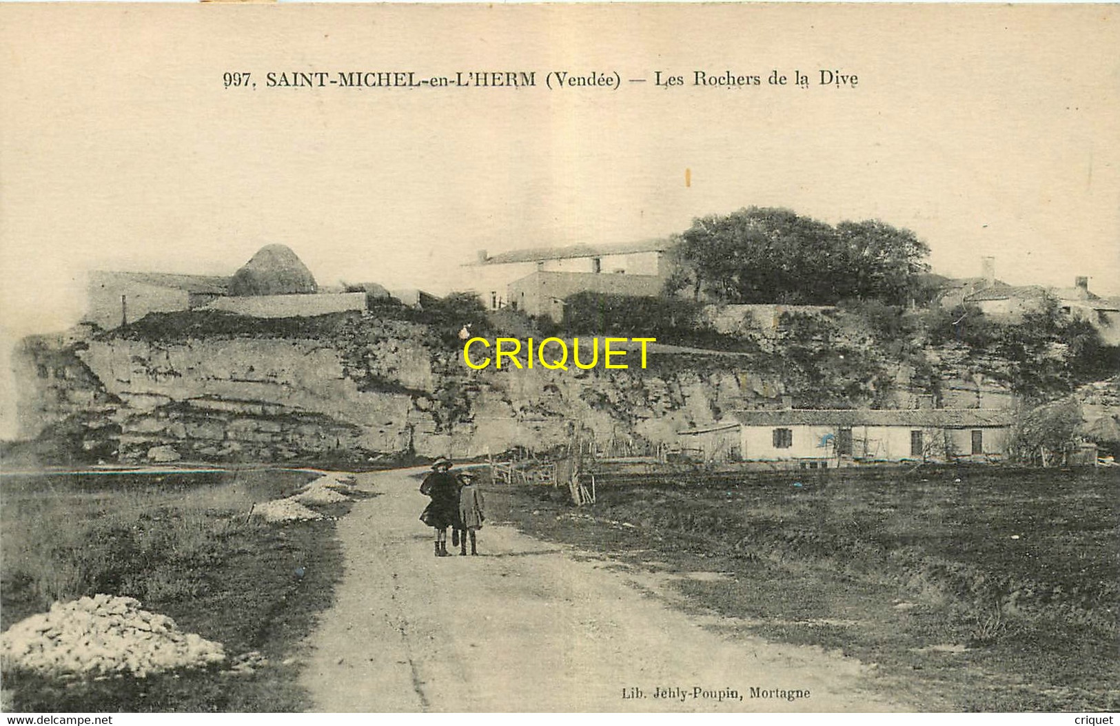 85 St Michel En L'Herm,  Les Rochers De La Dive, 2 Enfants Au 1er Plan, Carte Pas Courante - Saint Michel En L'Herm