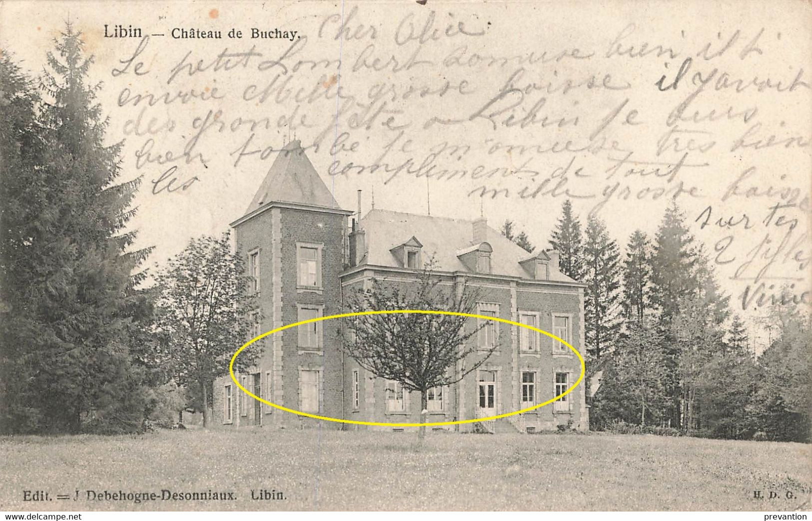 LIBIN - Château De Buchay - Carte Circulé En 1905 - Libin