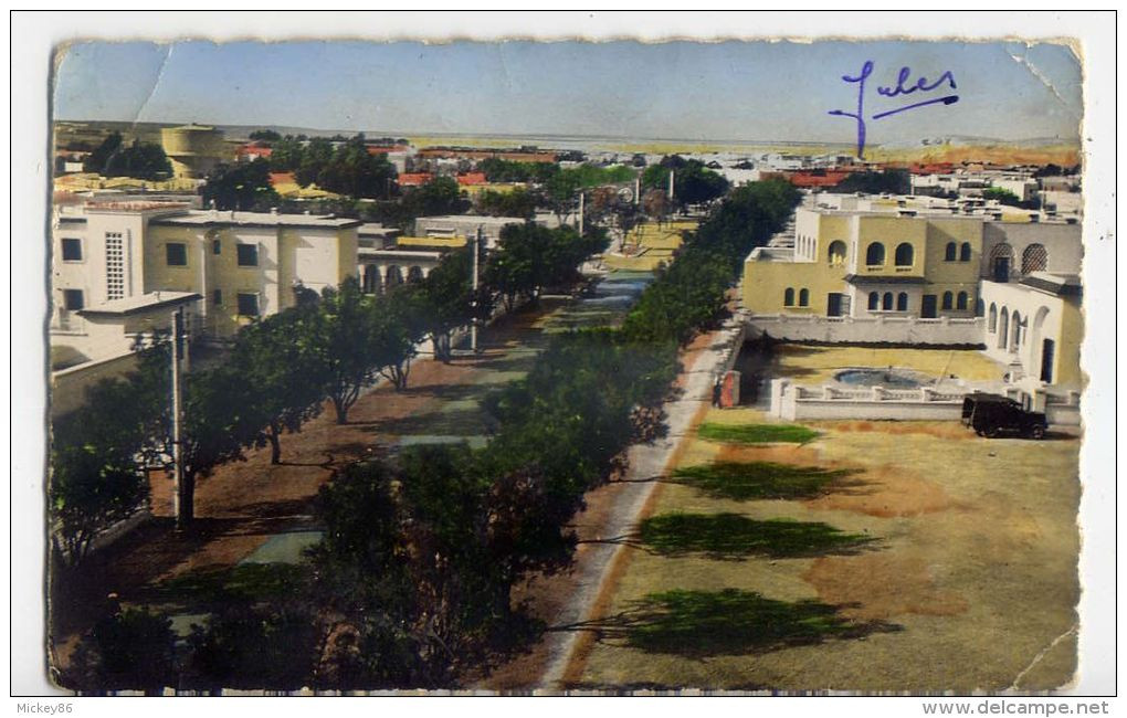 Algérie--COLOMB BECHAR--BECHAR--1956--Avenue De La Gare,cpsm 9 X 14 Couleur éd R.Delayance - Bechar (Colomb Béchar)