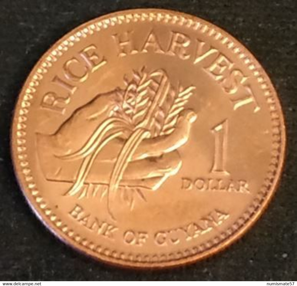 GUYANA - 1  DOLLAR 2002 - KM 50 - RICE HARVEST - Guyana