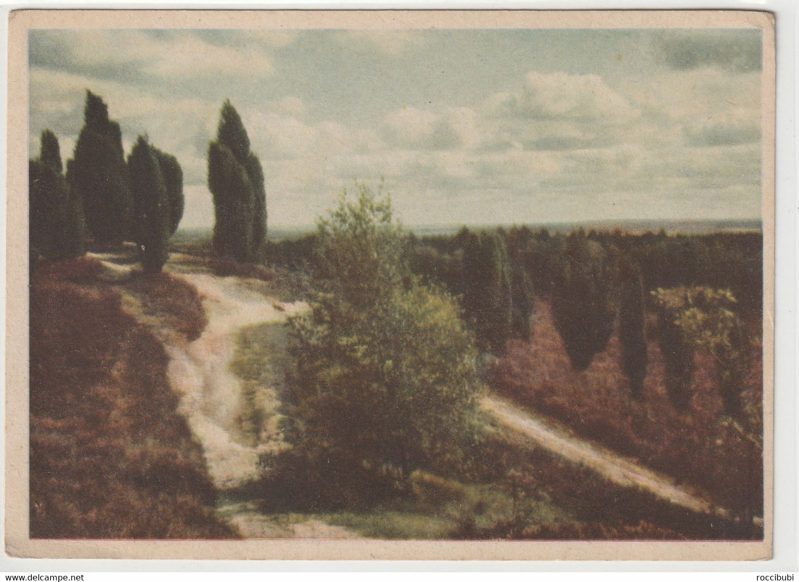 Lüneburger Heide - Lüneburger Heide