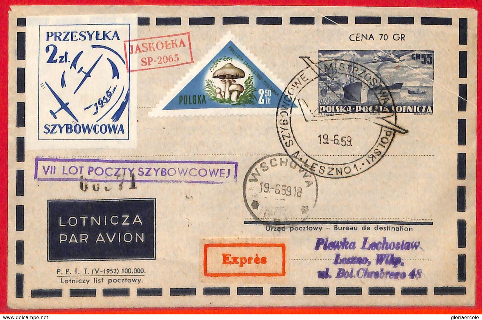 Aa3413 - POLONIA - Postal History - GLIDER FLIGHT Cover 1959 - Flugzeuge