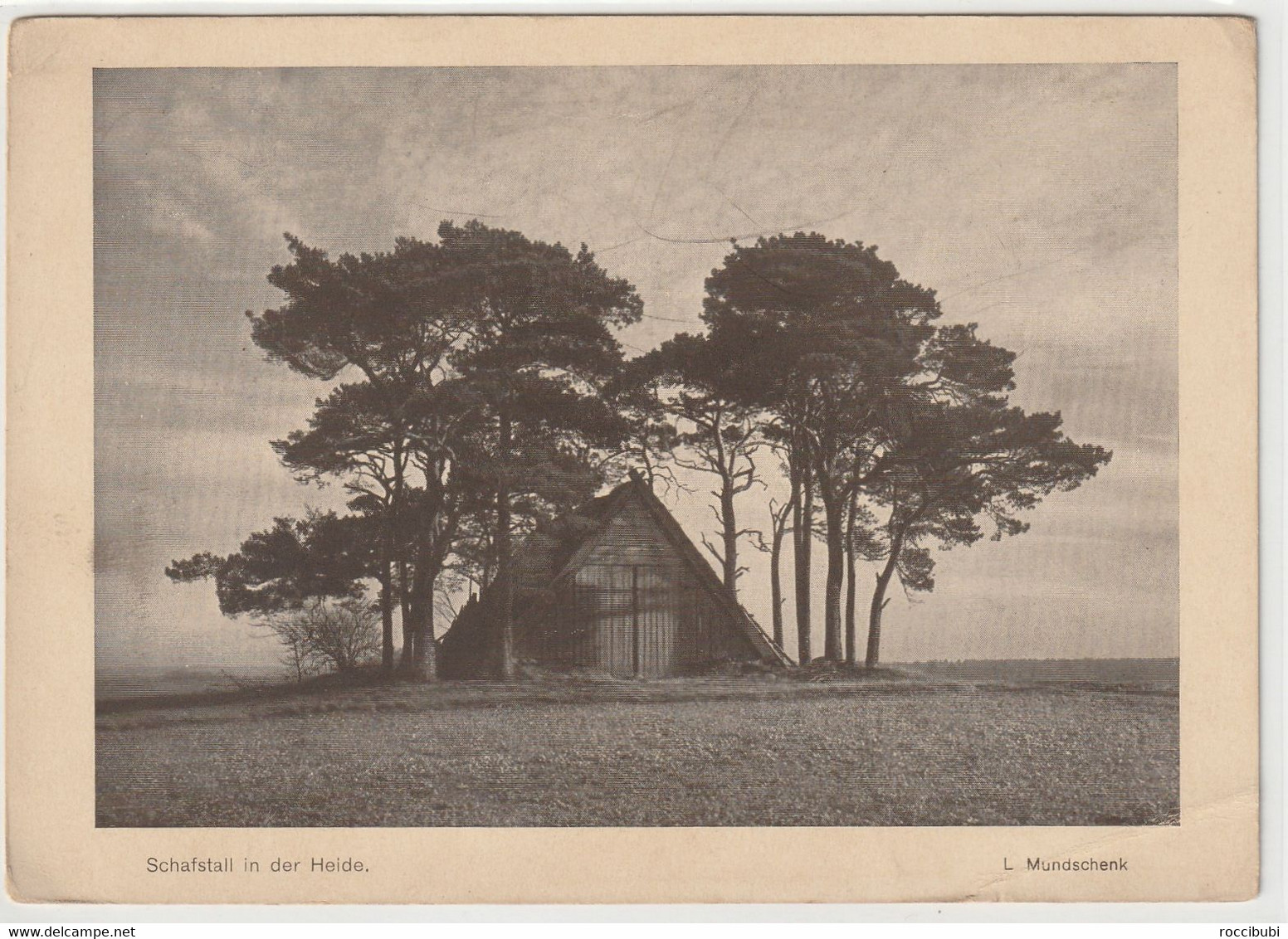 Lüneburger Heide - Lüneburger Heide