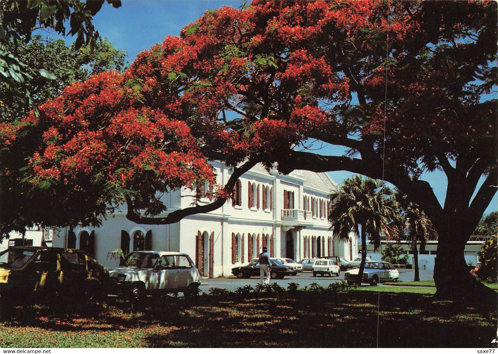 ILE DE LA REUNION - Hotel De Ville - Saint Pierre