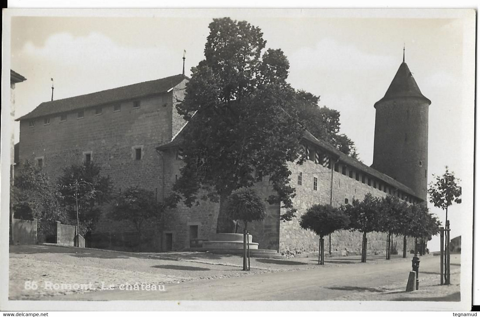 ROMONT - Le Château - Carte Photo - Romont