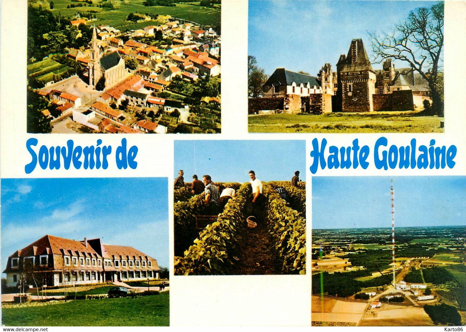 Haute Goulaine * Souvenir Du Village * Cpa 5 Vues * Vendanges Vignoble Vin - Haute-Goulaine