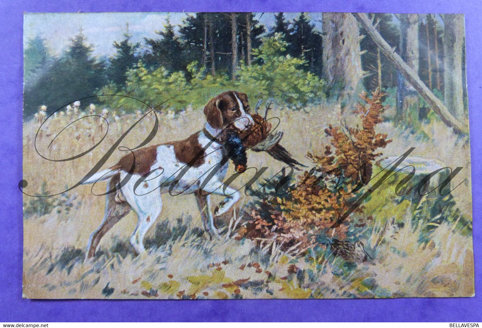 Hunt Chasse Pointer Jacht Hond Chien Dog Bird Hunting- 3 X Cpa - Caza