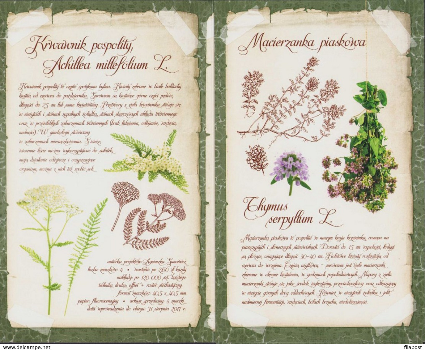 Poland 2017 Booklet / Polish Herbarium - Cornflower, Common Chamomile, Yarrow, Sand Thyme Herbs / FDC + Sheet MNH** - Booklets