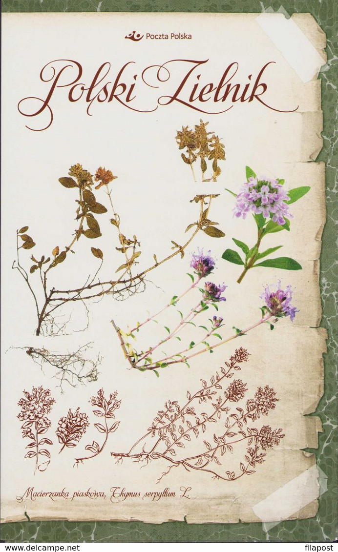 Poland 2017 Booklet / Polish Herbarium - Cornflower, Common Chamomile, Yarrow, Sand Thyme Herbs / FDC + Sheet MNH** - Carnets