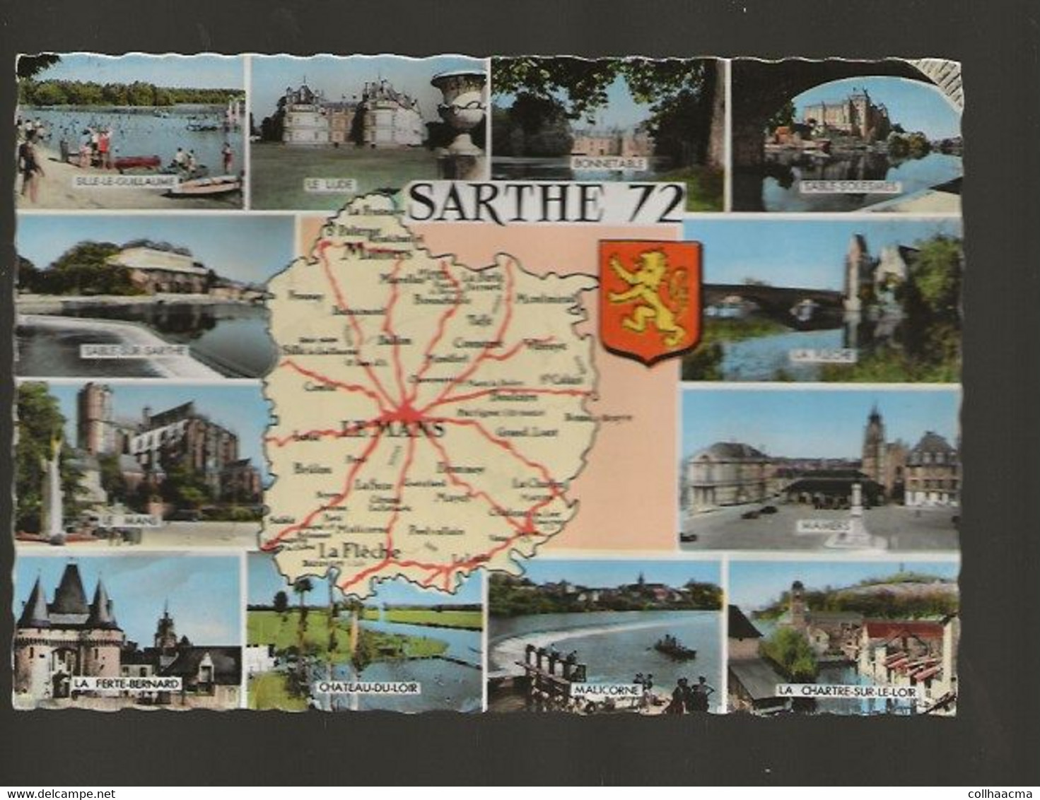 Carte Géographique Département De La Sarthe 72  ( Editions ARTAUD GABY ) 12 Vues - Landkarten