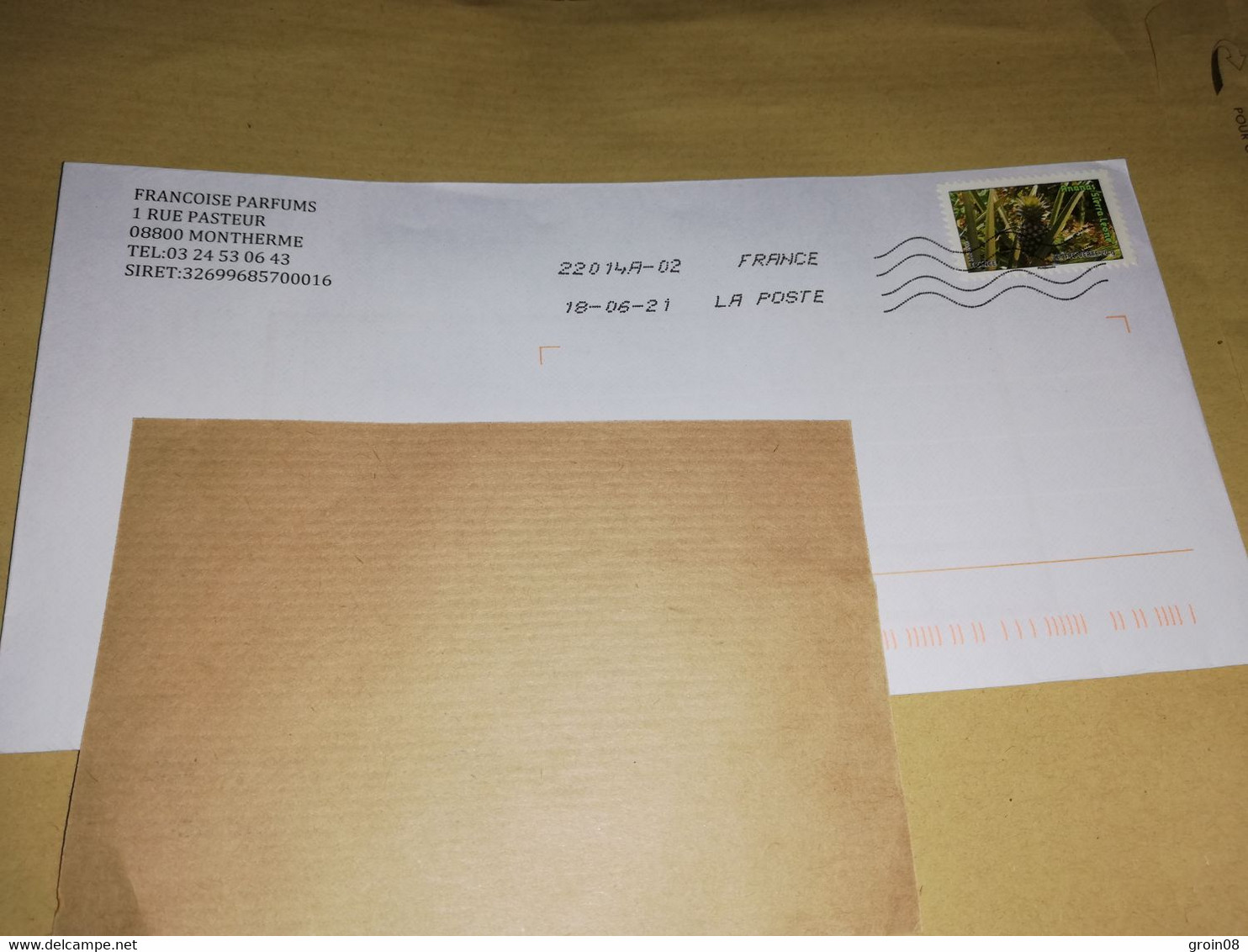 Enveloppe Ananas Sierra Leone 3346 - Lettres & Documents