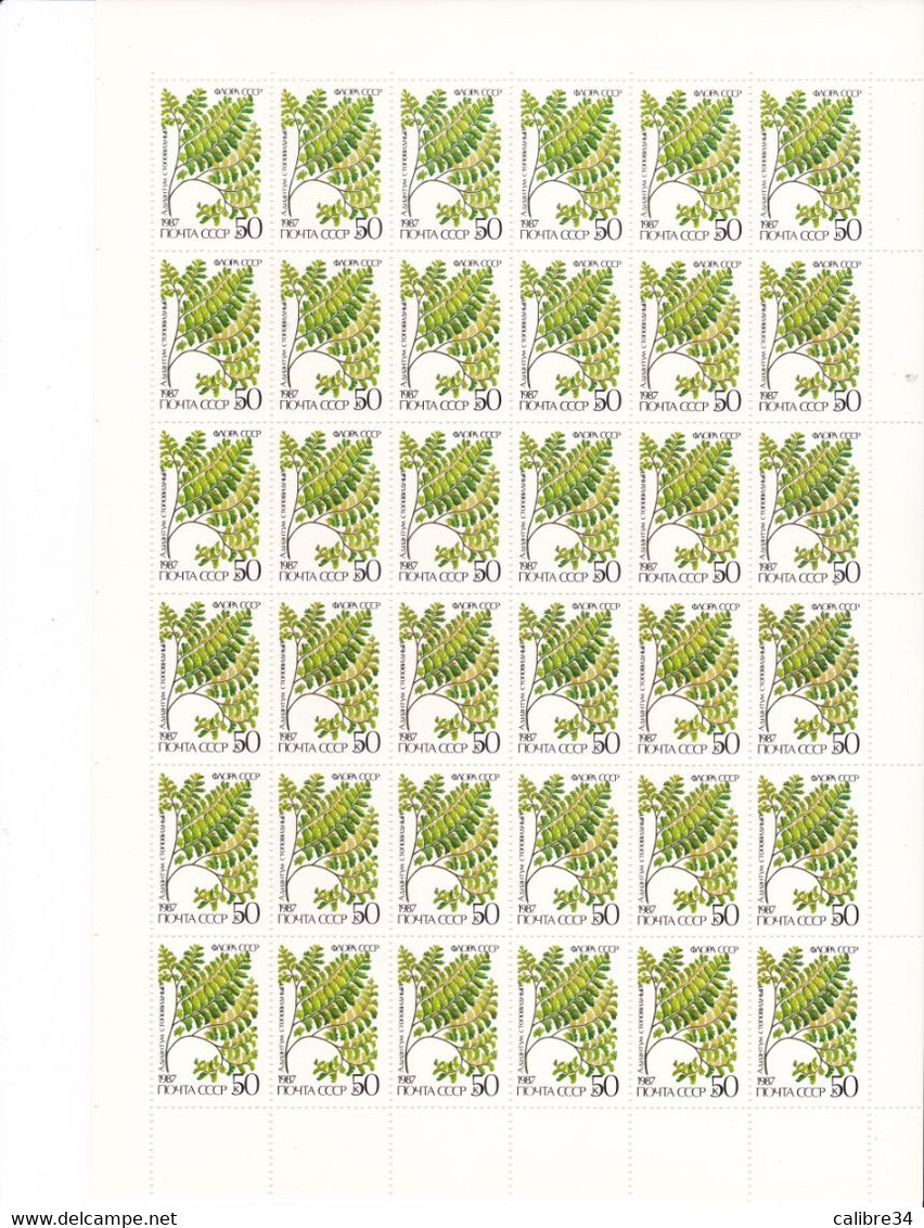 URSS Feuille Complète Adiantum Pedatum 1987 - Full Sheets