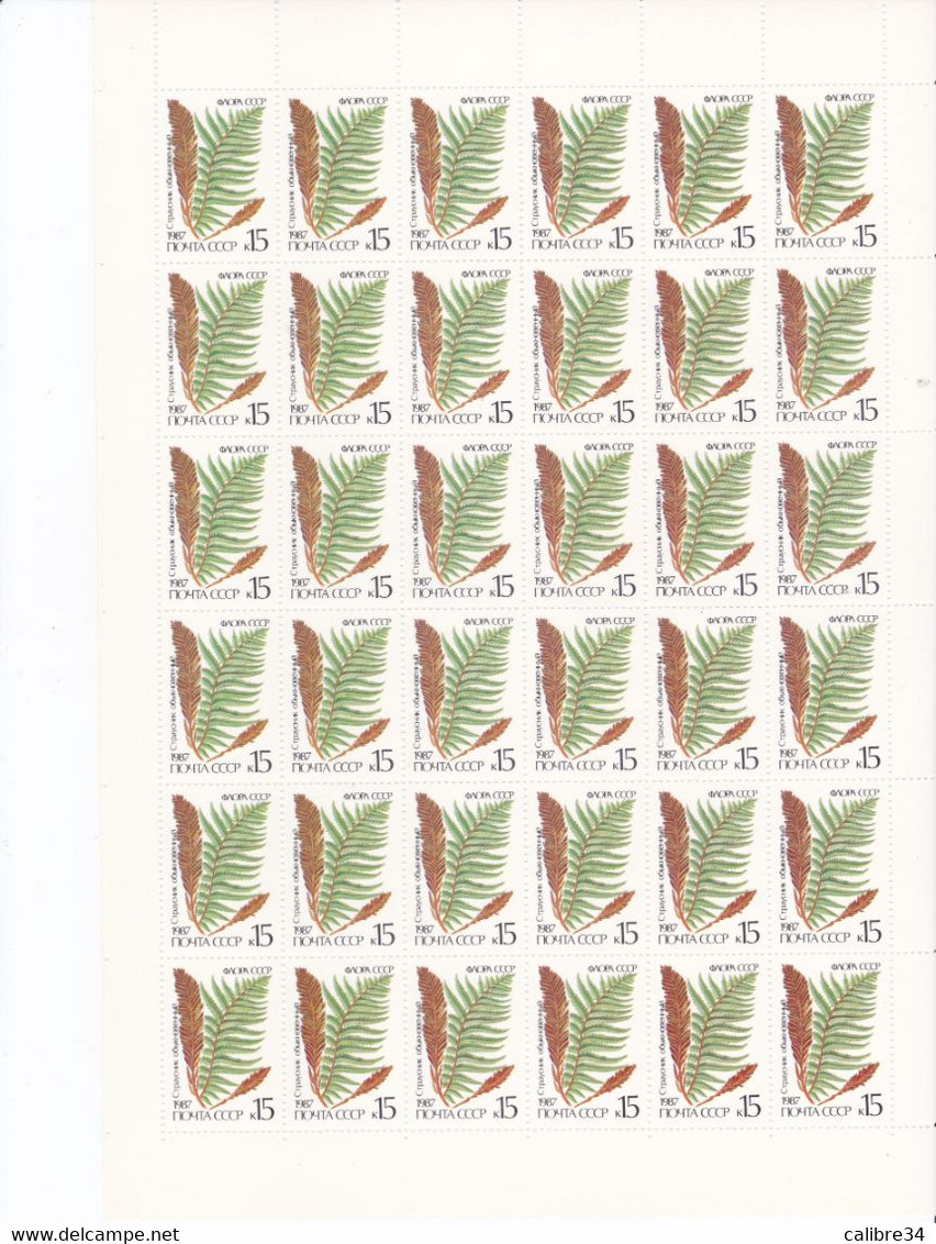 URSS Feuille Complète Matteuccia Struthiopteris 1987 - Full Sheets