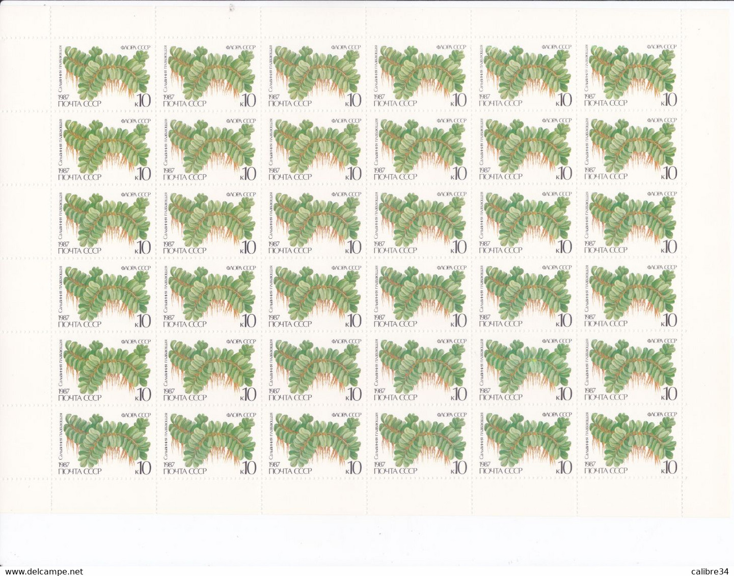 URSS Feuille Complète  Salvinia Natans 1987 - Full Sheets