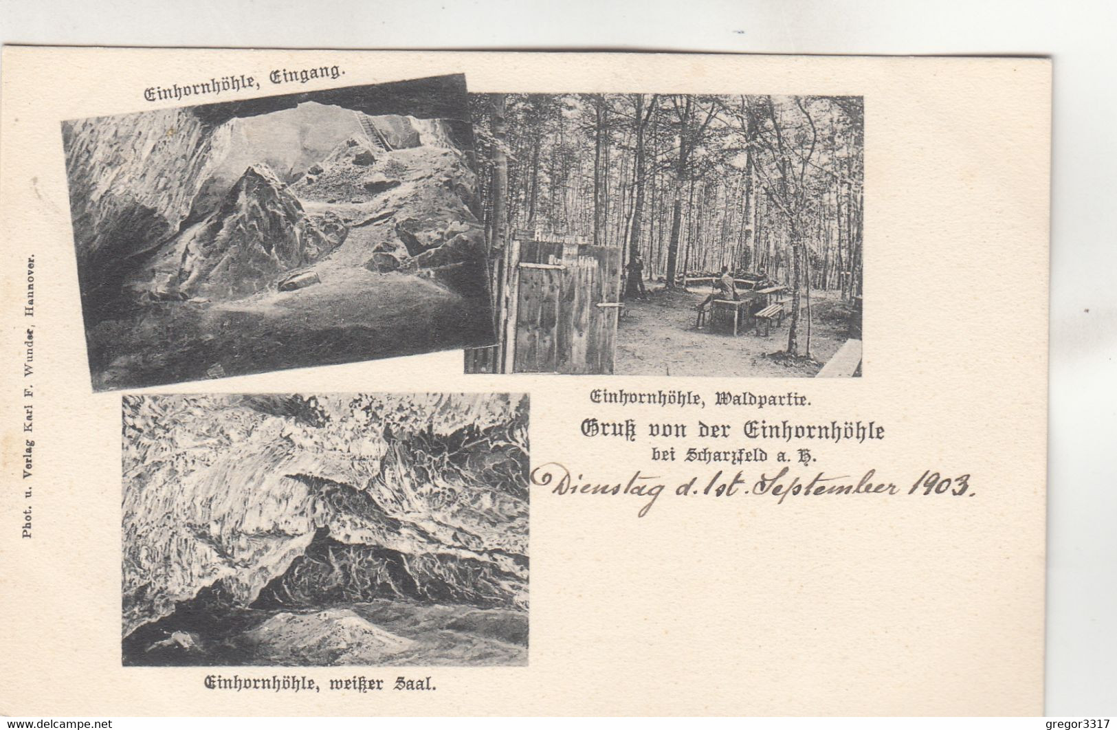 A5243) Einhornhöhle - Waldpartie - GRUSS Von Der EINHORNHÖHLE Bei SCHARZFELD A. HERZBERG 1903 - Herzberg