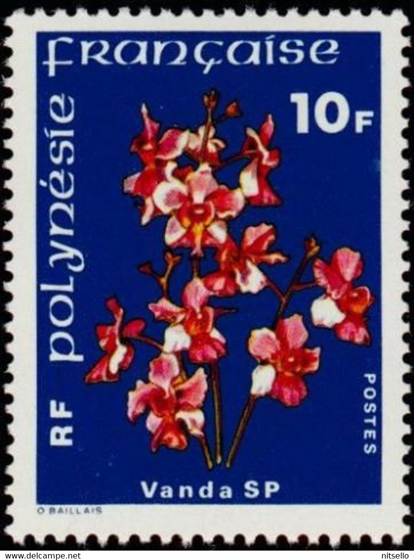 LOTE 2202 /// POLINESIA FRANCESA   YVERT Nº: 128**MNH ¡¡¡ OFERTA - LIQUIDATION - JE LIQUIDE !!! - Unused Stamps
