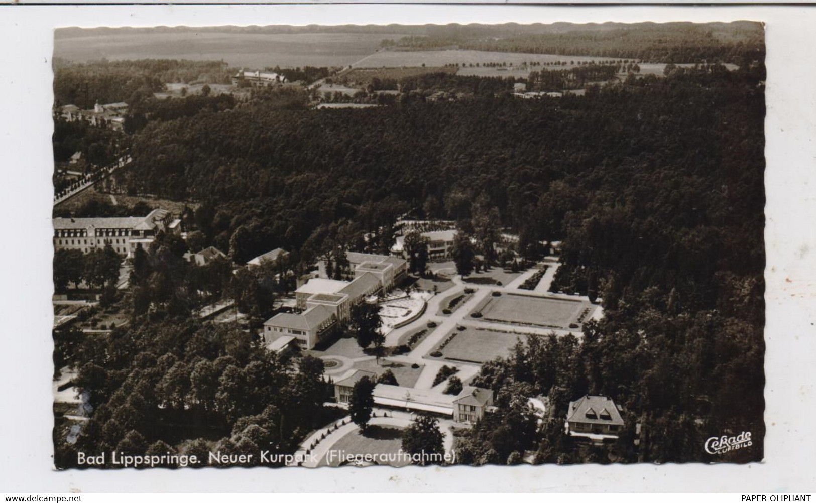 4792 BAD LIPPSPRINGE, Luftaufnahme Neuer Kurpark, Cafe Striewe, 1962 - Bad Lippspringe