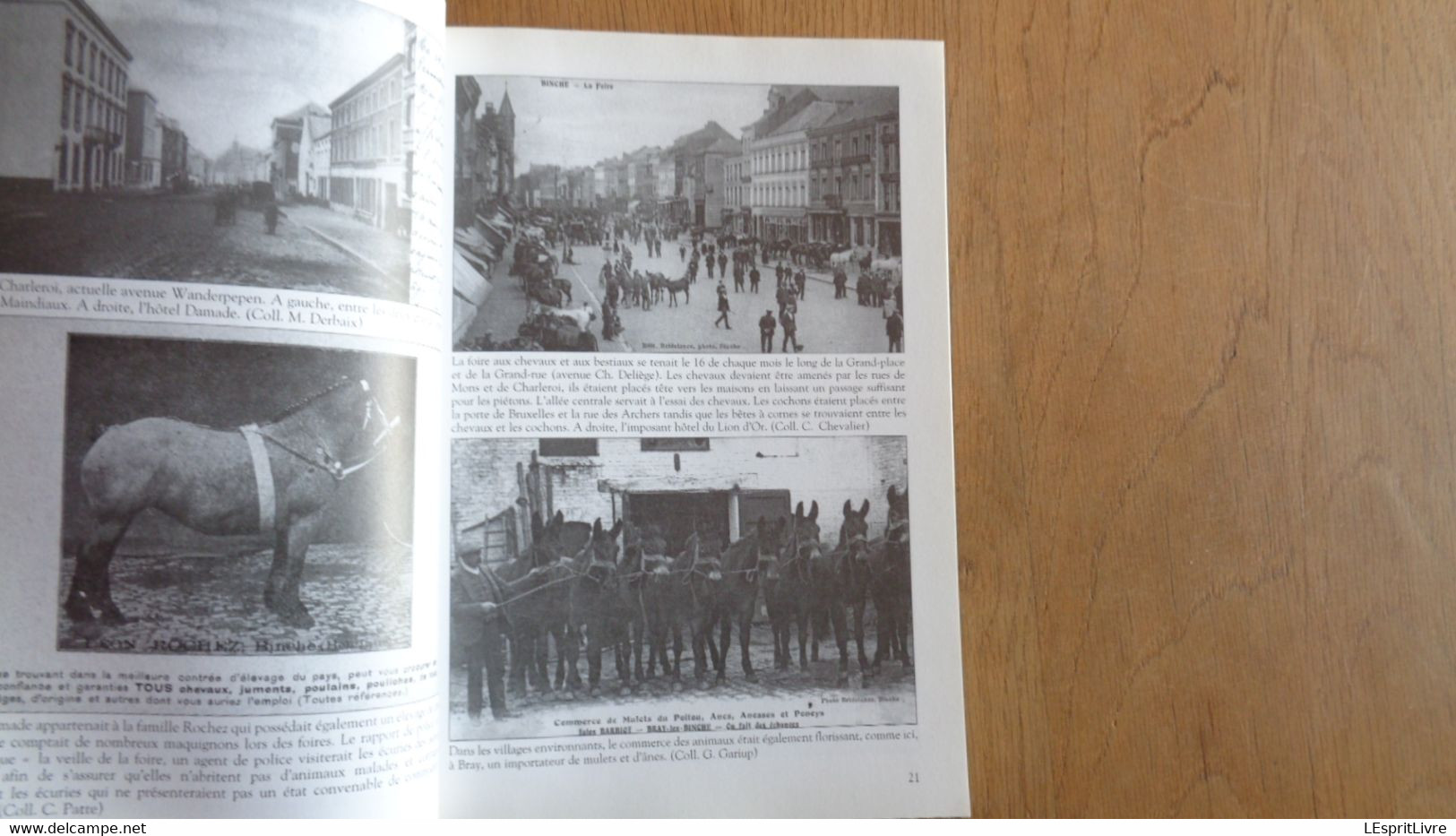 LE GRAND BINCHE Mémoire en images Régionalisme Ressaix Leval Trahegnies Péronnes Bray Buvrinnes Processions Charbonnage