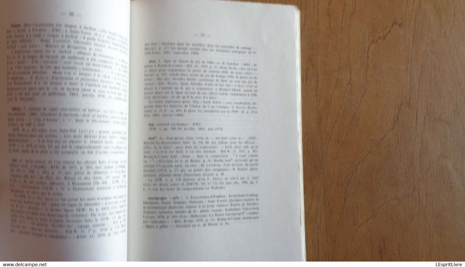 LES DIALECTES DE WALLONIE Tome 10 1982 Régionalisme Patois Wallon Littérature Vocabulaire Bois Borsu Pater Offaing - Belgique